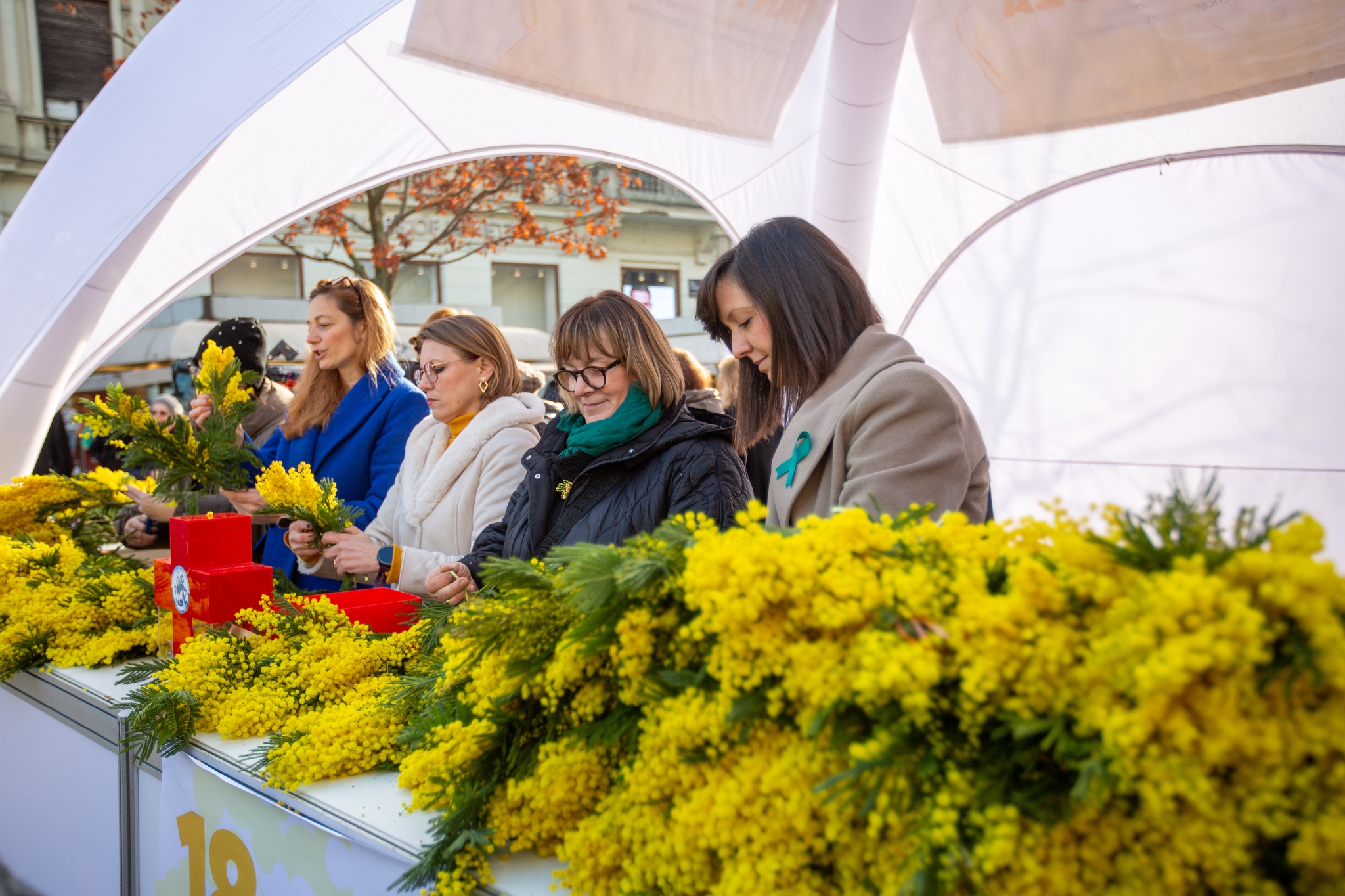 25.01.2025., Zagreb Cvjetni trg, 18. Dan Mimoza, Nacionalni dań protiv raka maternice u Europskom tjednu prevencije raka vrata maternice. FOTO: JANKOVIC MIRKO